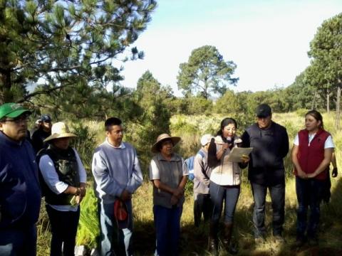 Implementa municipio de Tocatlán acciones a favor de la ecología imagen 4