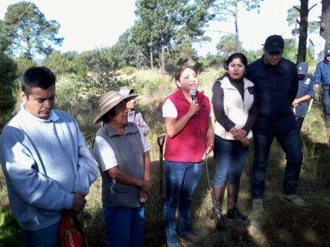 Implementa municipio de Tocatlán acciones a favor de la ecología imagen 1