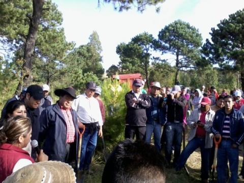 Implementa municipio de Tocatlán acciones a favor de la ecología imagen 5