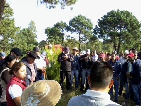 Implementa municipio de Tocatlán acciones a favor de la ecología imagen 6