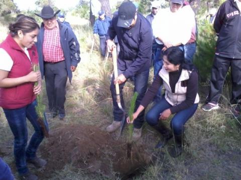 Implementa municipio de Tocatlán acciones a favor de la ecología imagen 7