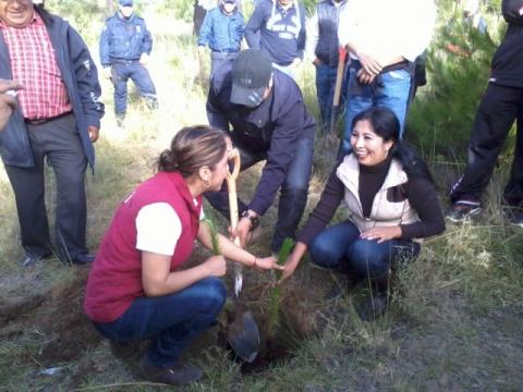 Implementa municipio de Tocatlán acciones a favor de la ecología imagen 8