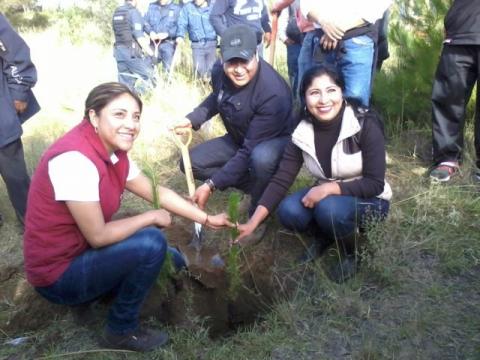 Implementa municipio de Tocatlán acciones a favor de la ecología imagen 10