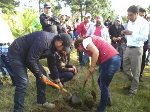 Implementa municipio de Tocatlán acciones a favor de la ecología imagen 11