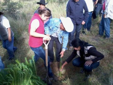 Implementa municipio de Tocatlán acciones a favor de la ecología imagen 12