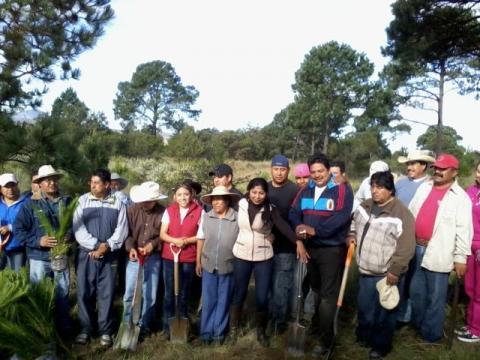 Implementa municipio de Tocatlán acciones a favor de la ecología imagen 13