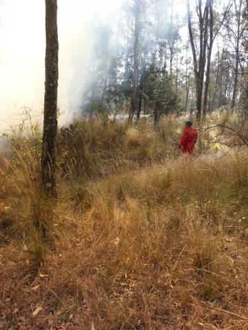En oportuna respuesta, sofoca incendios Protección Civil municipal en predios capitalinos imagen 2