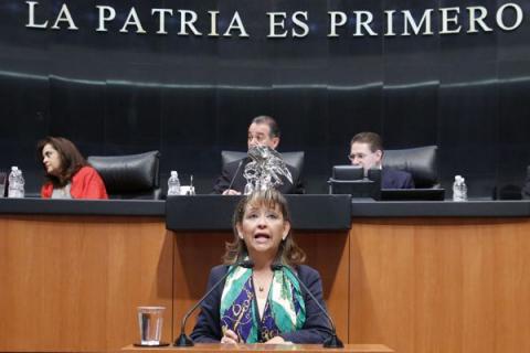 Mediante reforma constitucional, el Estado garantizará la producción, conservación y distribución de alimentos: Lorena Cuéllar imagen 1