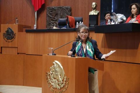 Mediante reforma constitucional, el Estado garantizará la producción, conservación y distribución de alimentos: Lorena Cuéllar imagen 3