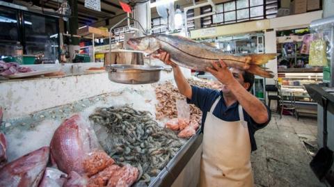 Comercializarán 25 toneladas de productos pesqueros en cuaresma