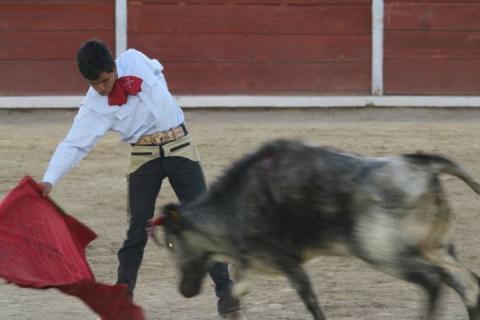 Ralizan última tienta de vaquillas en la plaza Jorge El Ranchero Aguilar imagen 6