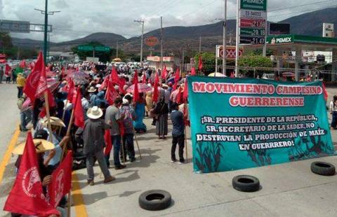 Prometió AMLO fertilizante gratuito a campesinos de Guerrero y ahora no cumple: Antorcha