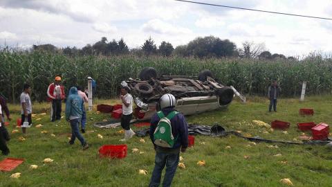 Vuelca camioneta con pollos y vecinos hacen rapiña, en Panotla imagen 1