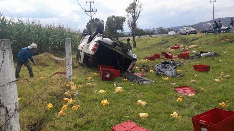 Vuelca camioneta con pollos y vecinos hacen rapiña, en Panotla imagen 3