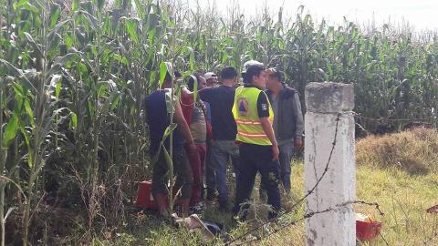 Vuelca camioneta con pollos y vecinos hacen rapiña, en Panotla imagen 5