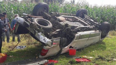 Vuelca camioneta con pollos y vecinos hacen rapiña, en Panotla imagen 4