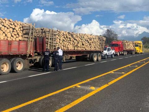Aseguraron policías estatales cinco vehículos con 210 toneladas de madera imagen 1