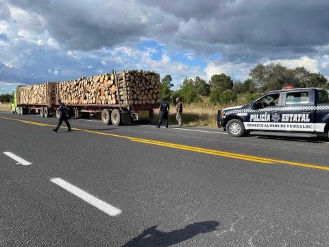 Aseguraron policías estatales cinco vehículos con 210 toneladas de madera imagen 2