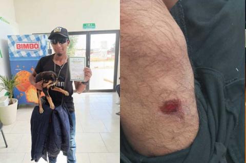 Ayuntamiento de Huamantla atiende oportunamente reporte de agresión de caninos y reitera su compromiso con el bienestar animal imagen 1