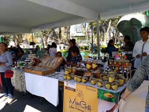 Inicia Expo-venta del Buen fin en el Zócalo de Tlaxcala imagen 2