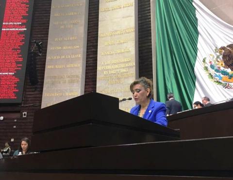 Lorena Cuellar propone la creación de un registro de enfermedad renal
