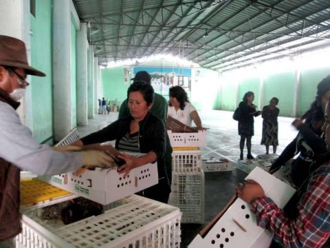 Anuncia regidora segunda vuelta del PAEF imagen 5