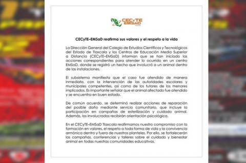 CECyTE–EMSaD reafirma sus valores y el respeto a la vida