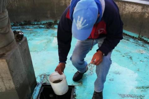 Realiza Ayuntamiento de Huamantla labores de mantenimiento en el andador San Luis imagen 2