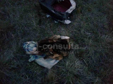 Vecinos reportaron un feto humano y resultó ser una animal muerto
