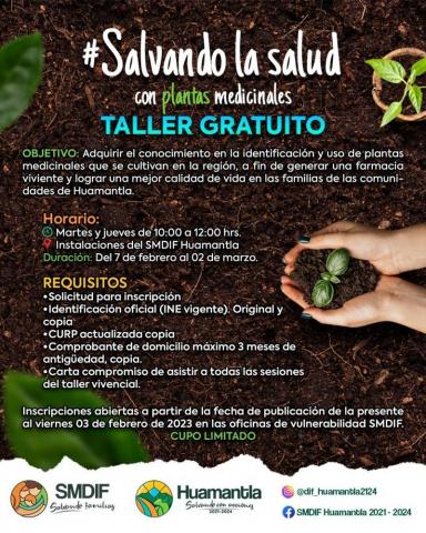 Invita SMDIF Huamantla al taller “Salvando la Salud con Plantas Medicinales” imagen 1