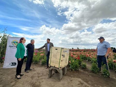 Impulsa Ayuntamiento de Huamantla la producción de dalias con maquinaria agrícola imagen 2