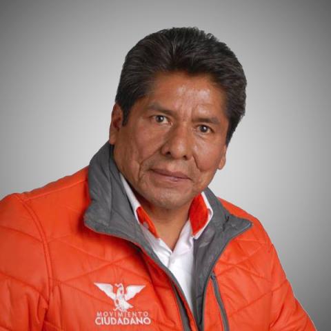Naranjas prefieren ir solos en comicios locales que mal acompañados