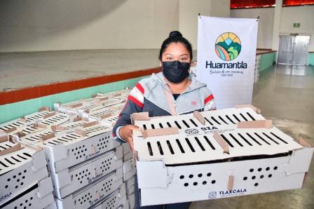 Ayuntamiento de Huamantla invita a adquirir paquetes de especies menores