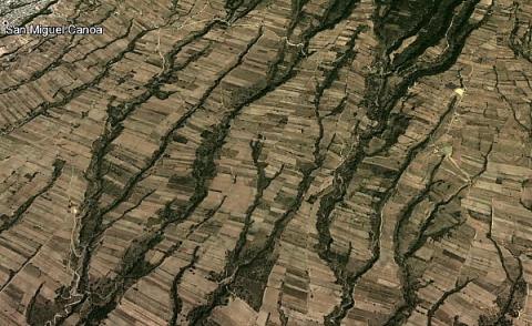 Tala ilegal y agricultura devoran a la Malintzi: Greenpeace imagen 5