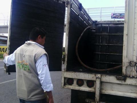 Asegura Profepa 29 toneladas de residuos peligrosos imagen 1