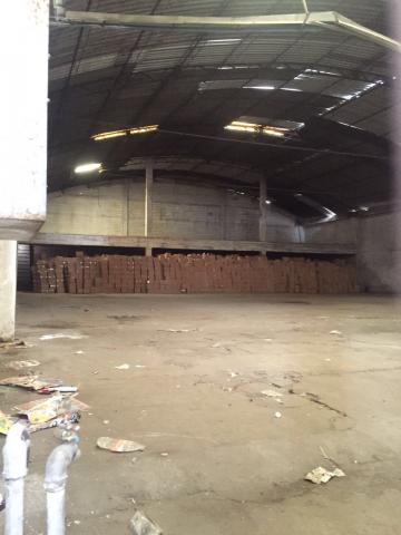 Descubren madriguera de “mapaches” de Mena en Apizaco imagen 1