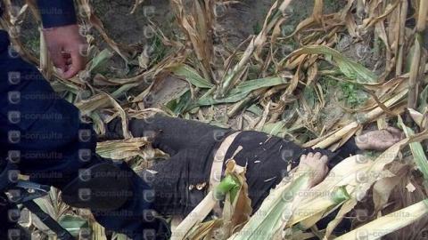 Volcadura deja una muerta y 15 lesionados en Huamantla imagen 5