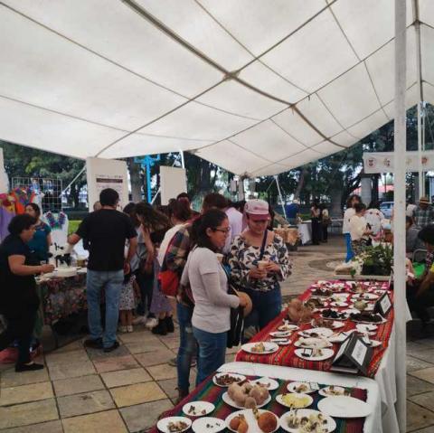 Rescata y difunde saberes ancestrales el “Festival Etnobiológico Tlaxcallan” imagen 2