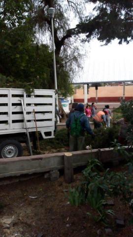 Derrumban árboles de escuela primaria en Tequexquitla imagen 2