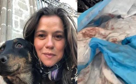 Aerolínea entrega a su dueña un perro ensangrentado luego de pagar más de 7 mil pesos por vuelo