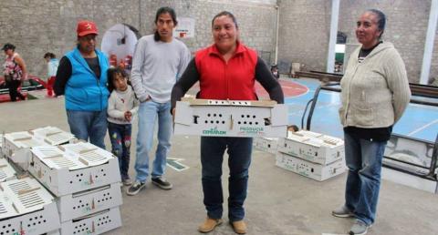 Con estos paquetes de animales de traspatio apoyamos la economía familiar: ESA imagen 1