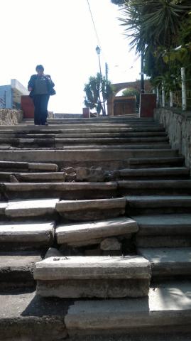 Sin rehabilitar sitios urbanos en la capital estatal imagen 4