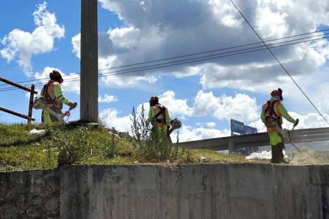 Ejecuta Ayuntamiento de Huamantla limpieza en camino al panteón de Santa Anita imagen 2