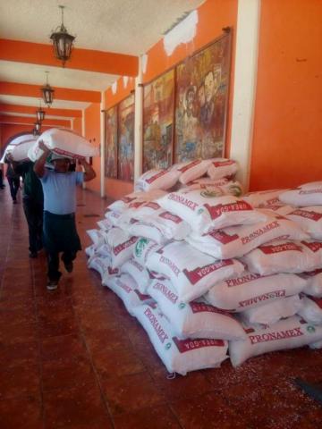 Llega fertilizante UREA a Texóloc imagen 2