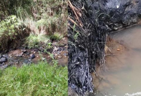 Ecocidio en Ixtacuixtla y autoridades brillan por su ausencia imagen 20