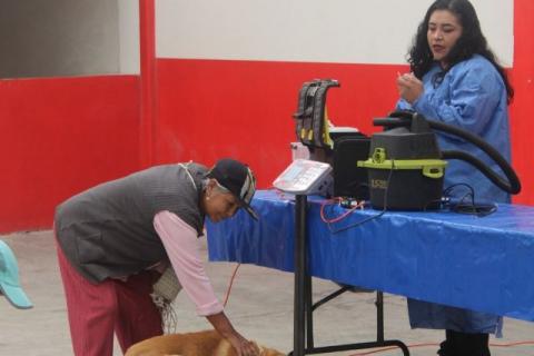 El cuidado y bienestar animal es una prioridad para el ayuntamiento de Atlangatepec