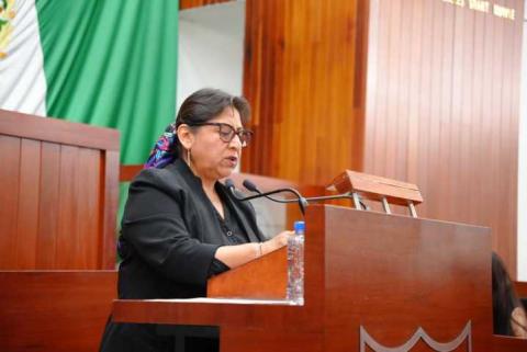 Impulsa Engracia Morales Iniciativa para impedir candidaturas de deudores alimentarios y agresores