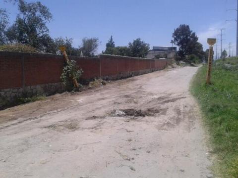 Servicios municipales realizan faenas de limpieza en el panteón municipal imagen 1