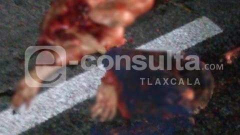 Muere arrollado motociclista en la Apizaco-Huamantla imagen 2