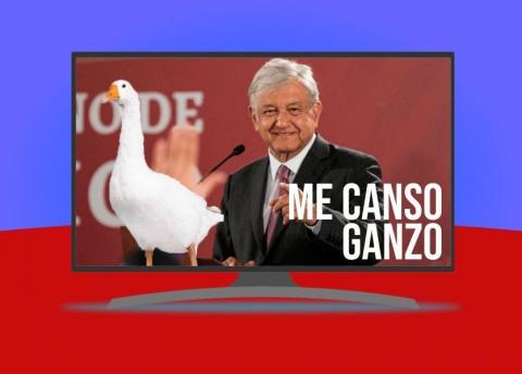 La frase 'Me Canso Ganso' de AMLO saltará a la televisión por el Canal 22